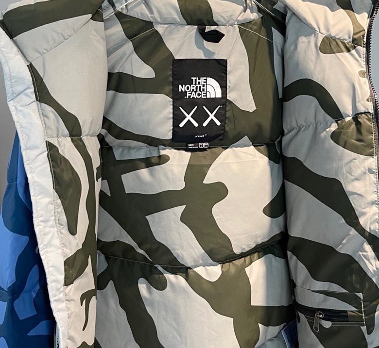 The North Face Down Jackets